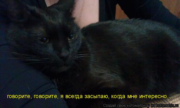 Котоматрица: говорите, говорите, я всегда засыпаю, когда мне интересно...