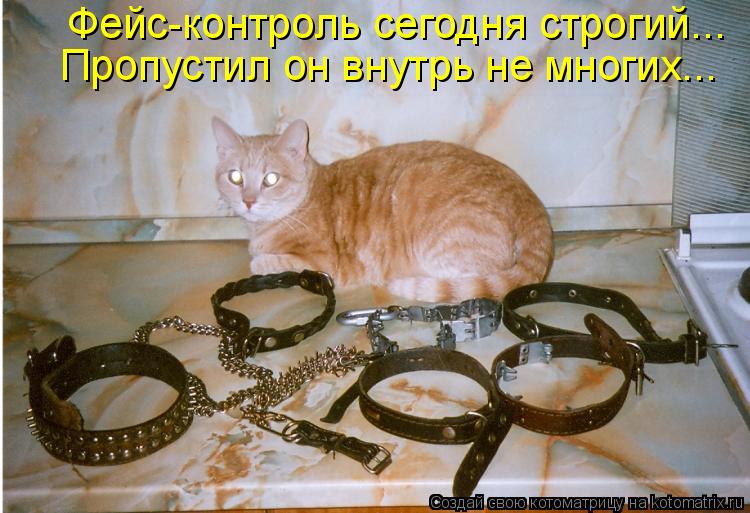 Фейс-контроль сегодня строгий... Пропустил он внутрь не многих...... Котоматрица: Фейс-контроль сегодня строгий... Пропустил он внутрь не многих...