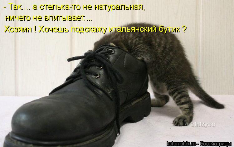 Котоматрица: - Так.... а стелька-то не натуральная, ничего не впитывает.... Хозяин ! Хочешь подскажу итальянский бутик ?