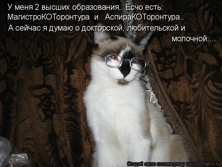 У меня 2 высших образования.. Есчо есть: МагистроКОТоронтура и АспираКОТоронтура.. А сейчас я дума... Котоматрица: У меня 2 высших образования.. Есчо есть: МагистроКОТоронтура и АспираКОТоронтура.. А сейчас я думаю о докторской, любительской и молочной...