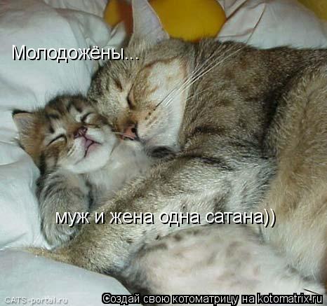 Молодожёны... муж и жена одна сатана))... Котоматрица: Молодожёны... муж и жена одна сатана))