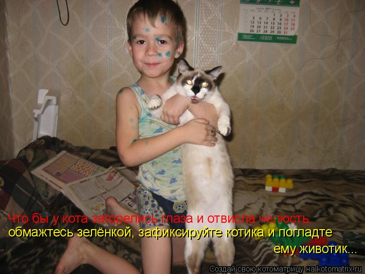 Что бы у кота загорелись глаза и отвисла челюсть, обмажтесь зелёнкой, зафиксируйте котика и погладте ... Котоматрица: Что бы у кота загорелись глаза и отвисла челюсть, обмажтесь зелёнкой, зафиксируйте котика и погладте ему животик...