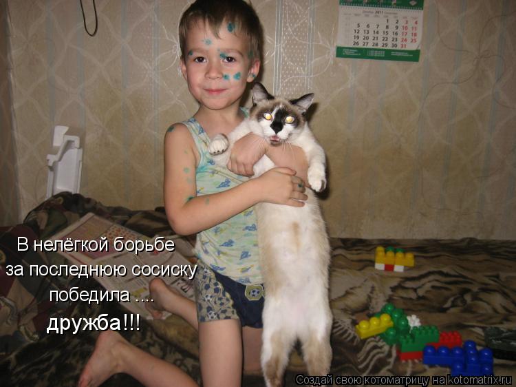 В нелёгкой борьбе за последнюю сосиску победила .... дружба!!!... Котоматрица: В нелёгкой борьбе за последнюю сосиску победила .... дружба!!!