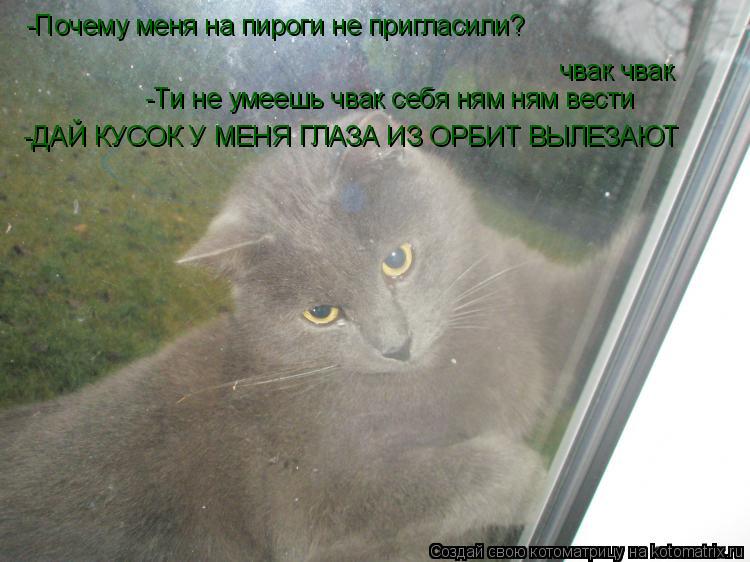 -Почему меня на пироги не пригласили? чвак чвак -Ти не умеешь чвак себя ням ням вести -ДАЙ КУСОК У МЕ... Котоматрица: -Почему меня на пироги не пригласили? чвак чвак -Ти не умеешь чвак себя ням ням вести -ДАЙ КУСОК У МЕНЯ ГЛАЗА ИЗ ОРБИТ ВЫЛЕЗАЮТ
