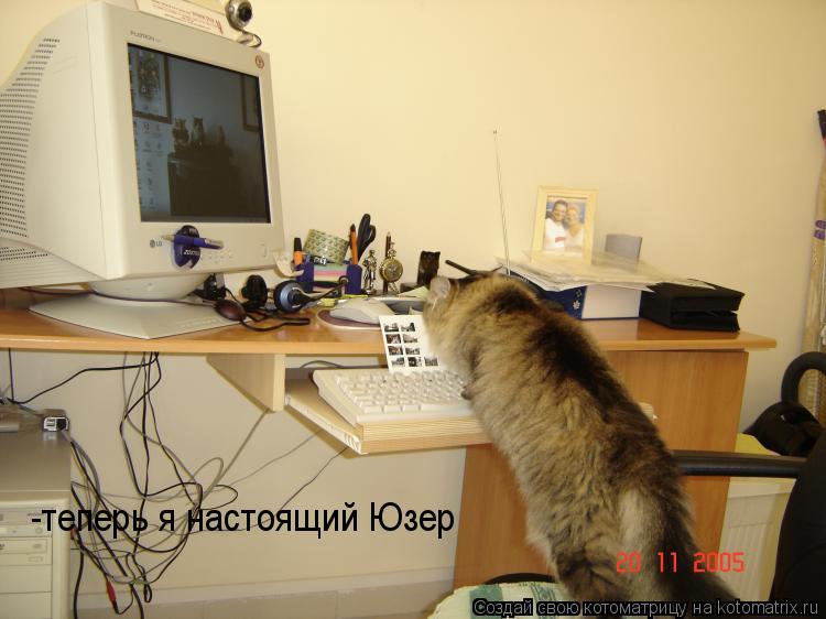 Котоматрица: -теперь я настоящий Юзер