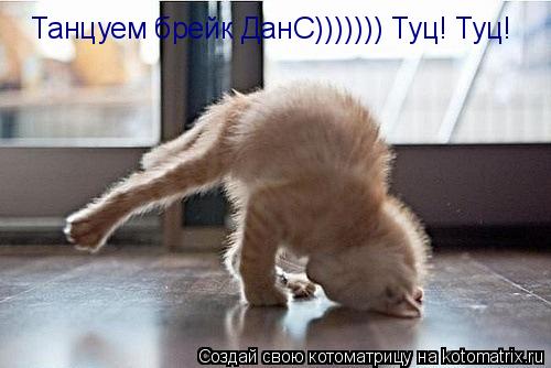 Котоматрица: Танцуем брейк ДанС))))))) Туц! Туц!