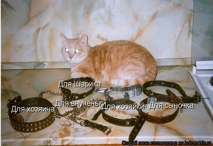 Котоматрица: Для хозяина Для хозяйки Для Шарика Для внученьки Для сыночка