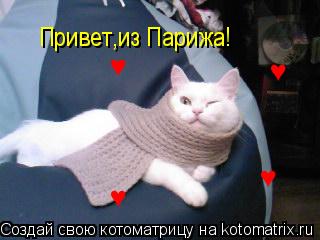 Привет,из Парижа! ♥ ♥ ♥ ♥... Котоматрица: Привет,из Парижа! ♥ ♥ ♥ ♥