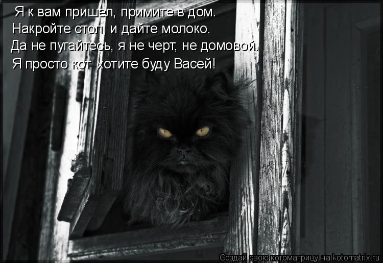 Котоматрица: Я к вам пришел, примите в дом. Накройте стол, и дайте молоко. Да не пугайтесь, я не черт, не домовой. Я просто кот, хотите буду Васей!