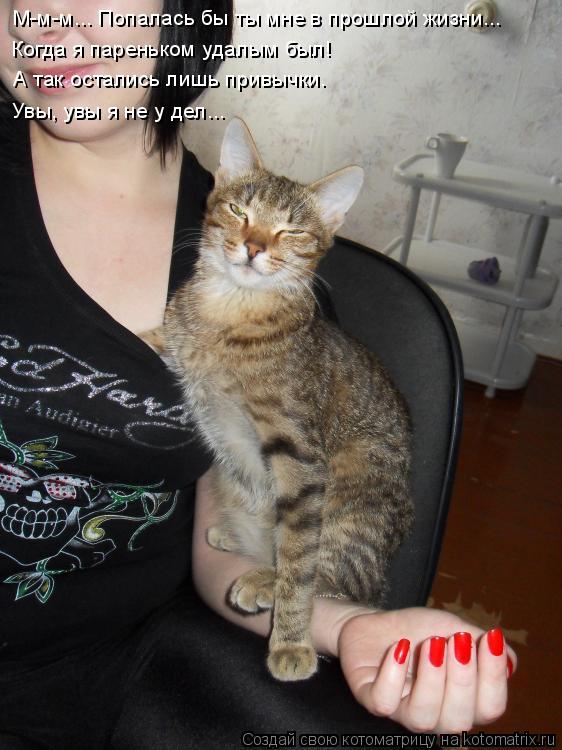 Котоматрица: М-м-м... Попалась бы ты мне в прошлой жизни... Когда я пареньком удалым был!  А так остались лишь привычки.  Увы, увы я не у дел...