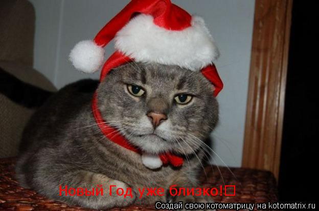 Котоматрица: Новый Год уже близко!&#9786;