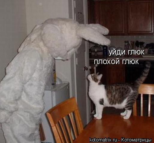 уйди глюк плохой глюк... Котоматрица: уйди глюк плохой глюк