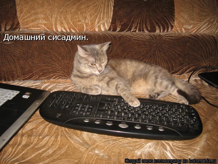 Домашний сисадмин.... Котоматрица: Домашний сисадмин.