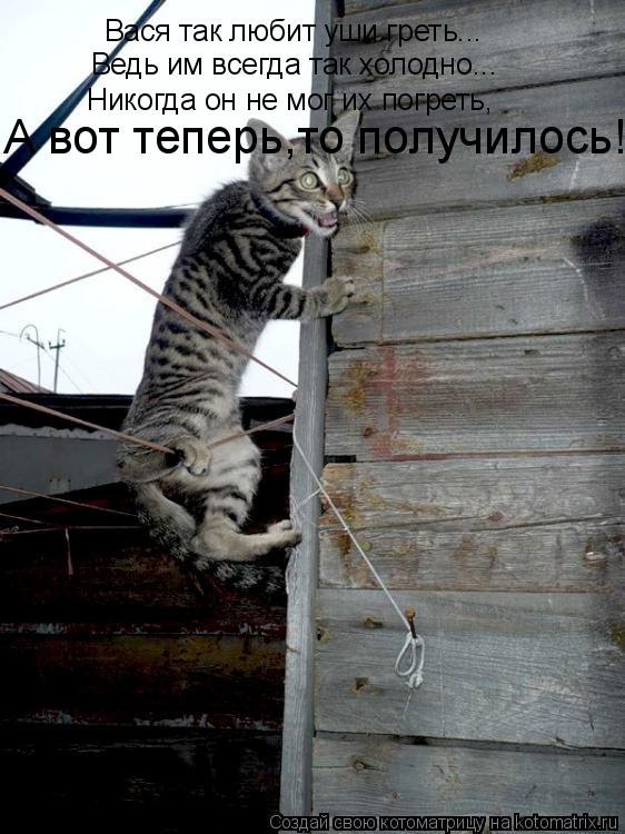 Вася так любит уши греть... Ведь им всегда так холодно... Никогда он не мог их погреть, А вот теперь,... Котоматрица: Вася так любит уши греть... Ведь им всегда так холодно... Никогда он не мог их погреть, А вот теперь,то получилось!