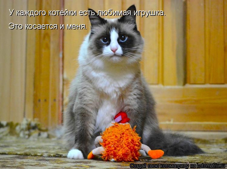 У каждого котейки есть любимая игрушка. Это косается и меня. Это косается и меня.... Котоматрица: У каждого котейки есть любимая игрушка. Это косается и меня. Это косается и меня.