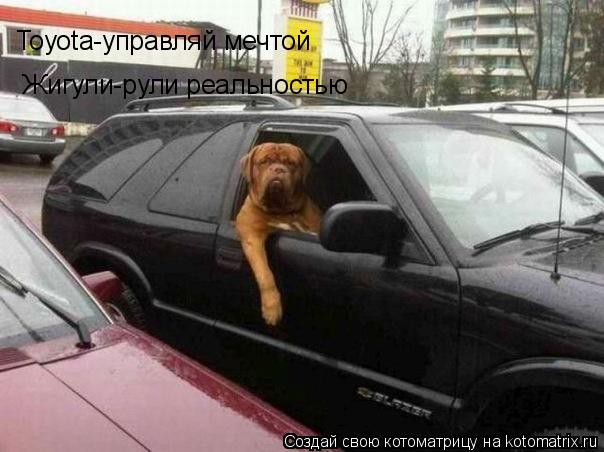 Toyota-управляй мечтой Жигули-рули реальностью... Котоматрица: Toyota-управляй мечтой Жигули-рули реальностью