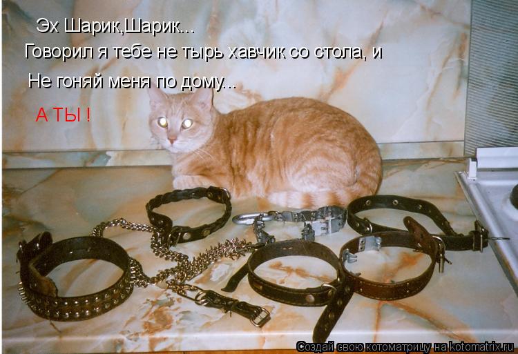Эх Шарик,Шарик... Говорил я тебе не тырь хавчик со стола, и Не гоняй меня по дому... А ТЫ !... Котоматрица: Эх Шарик,Шарик... Говорил я тебе не тырь хавчик со стола, и Не гоняй меня по дому... А ТЫ !