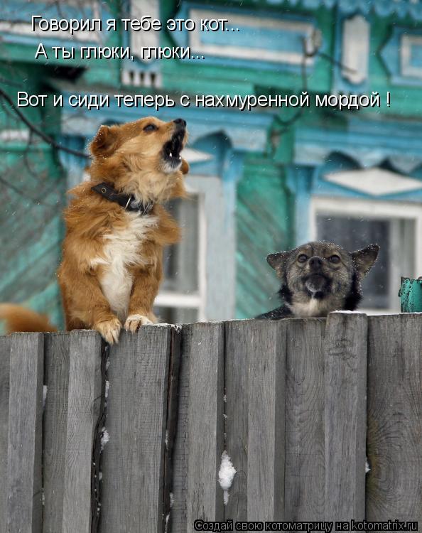 Говорил я тебе это кот... А ты глюки, глюки... Вот и сиди теперь с нахмуренной мордой !... Котоматрица: Говорил я тебе это кот... А ты глюки, глюки... Вот и сиди теперь с нахмуренной мордой !