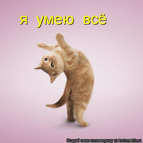 я умею всё... Котоматрица: я умею всё