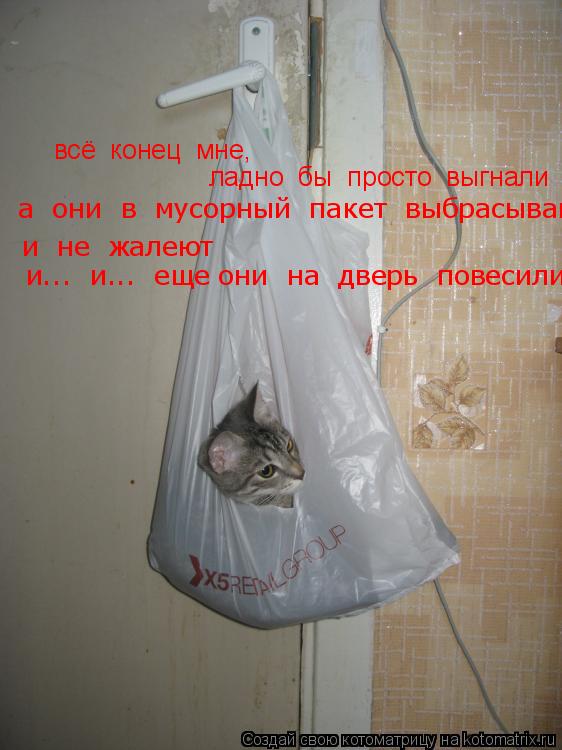 всё конец мне, ладно бы просто выгнали а они в мусорный пакет выбрасывают и не жалеют и.... Котоматрица: всё конец мне, ладно бы просто выгнали а они в мусорный пакет выбрасывают и не жалеют и... и... еще они на дверь повесили,