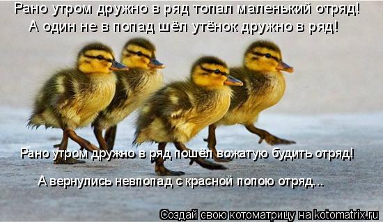 Рано утром дружно в ряд топал маленький отряд! А один не в попад шёл утёнок дружно в ряд! Рано утром ... Котоматрица: Рано утром дружно в ряд топал маленький отряд! А один не в попад шёл утёнок дружно в ряд! Рано утром дружно в ряд пошёл вожатую будить отряд!