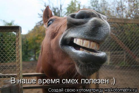 В наше время смех полезен ;)... Котоматрица: В наше время смех полезен ;)