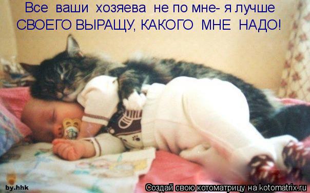 Все ваши хозяева не по мне- я лучше СВОЕГО ВЫРАЩУ, КАКОГО МНЕ НАДО!... Котоматрица: Все ваши хозяева не по мне- я лучше СВОЕГО ВЫРАЩУ, КАКОГО МНЕ НАДО!
