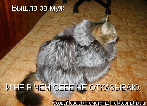 Вышла за муж И НЕ В ЧЕМ СЕБЕ НЕ ОТКАЗЫВАЮ... Котоматрица: Вышла за муж И НЕ В ЧЕМ СЕБЕ НЕ ОТКАЗЫВАЮ