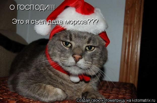 О ГОСПОДИ!!! Это я съел деда мороза???... Котоматрица: О ГОСПОДИ!!! Это я съел деда мороза???