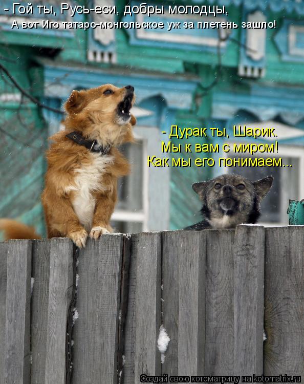 - Гой ты, Русь-еси, добры молодцы, А вот Иго татаро-монгольское уж за плетень зашло! - Дурак ты, Шари... Котоматрица: - Гой ты, Русь-еси, добры молодцы, А вот Иго татаро-монгольское уж за плетень зашло! - Дурак ты, Шарик. Мы к вам с миром! Как мы его понимаем...