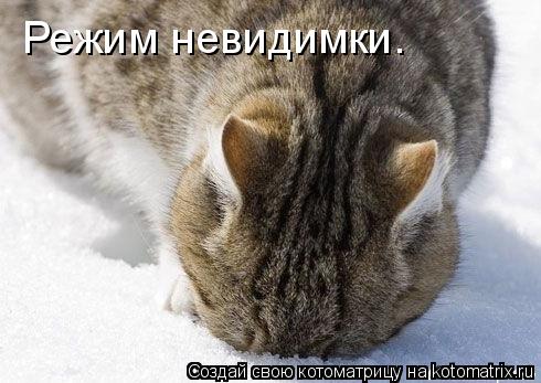 Режим невидимки.... Котоматрица: Режим невидимки.