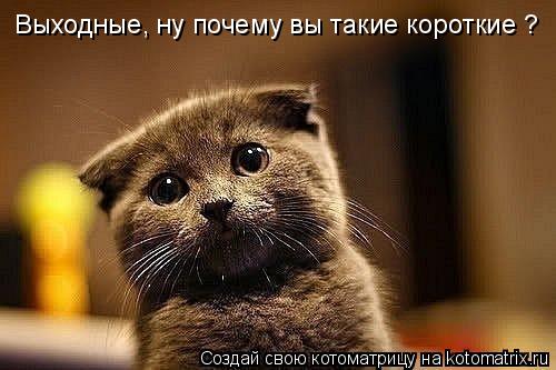 Выходные, ну почему вы такие короткие ?... Котоматрица: Выходные, ну почему вы такие короткие ?