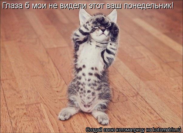 Глаза б мои не видели этот ваш понедельник!... Котоматрица: Глаза б мои не видели этот ваш понедельник!