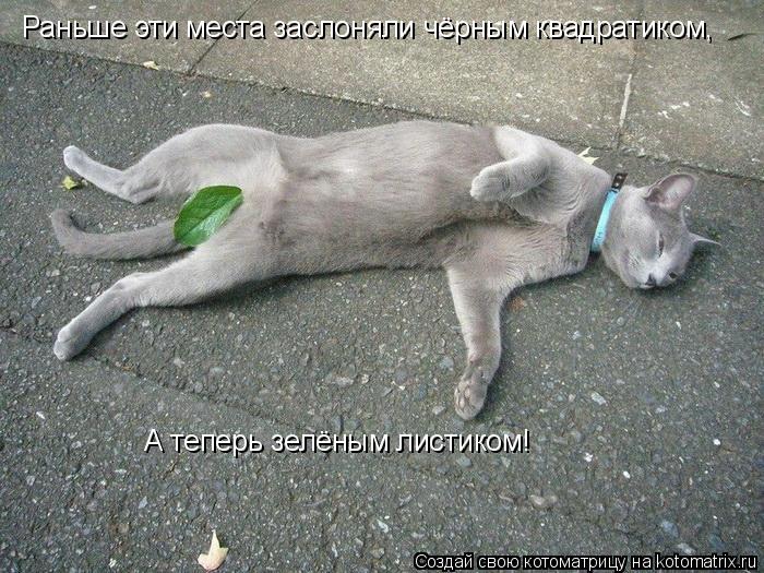 А теперь зелёным листиком! Раньше эти места заслоняли чёрным квадратиком,... Котоматрица: А теперь зелёным листиком! Раньше эти места заслоняли чёрным квадратиком,