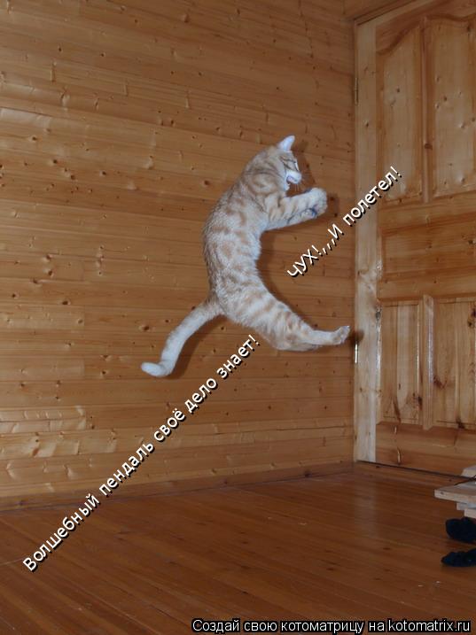 Волшебный пендаль своё дело знает! ЧУХ!,,,И полетел!... Котоматрица: Волшебный пендаль своё дело знает! ЧУХ!,,,И полетел!