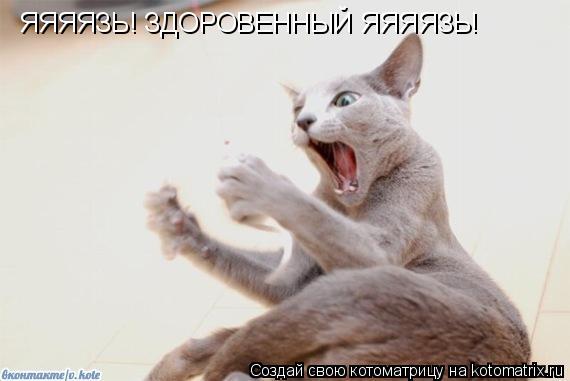ЯЯЯЯЗЬ! ЗДОРОВЕННЫЙ ЯЯЯЯЗЬ!... Котоматрица: ЯЯЯЯЗЬ! ЗДОРОВЕННЫЙ ЯЯЯЯЗЬ!