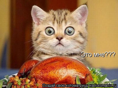 Это мне???... Котоматрица: Это мне???