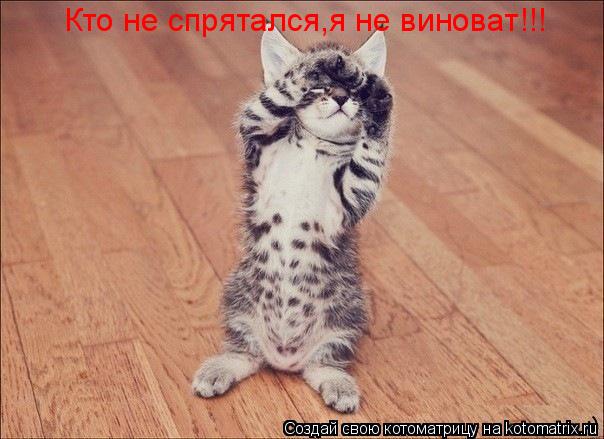 Кто не спрятался,я не виноват!!!... Котоматрица: Кто не спрятался,я не виноват!!!