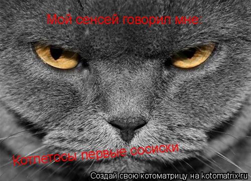 Мой сенсей говорил мне: Котлетосы первые сосиски... Котоматрица: Мой сенсей говорил мне: Котлетосы первые сосиски