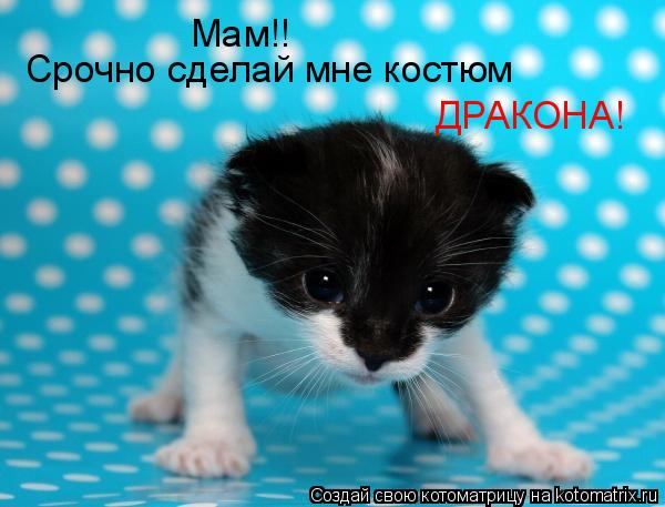 Мам!! Срочно сделай мне костюм ДРАКОНА!... Котоматрица: Мам!! Срочно сделай мне костюм ДРАКОНА!
