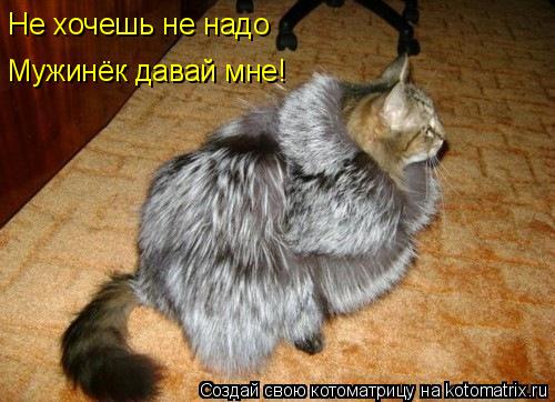 Не хочешь не надо Мужинёк давай мне!... Котоматрица: Не хочешь не надо Мужинёк давай мне!