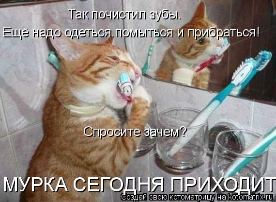 Так почистил зубы. Ещё надо одеться.помыться и прибраться! Спросите зачем? МУРКА СЕГОДНЯ ПРИХОДИТ!!!... Котоматрица: Так почистил зубы. Ещё надо одеться.помыться и прибраться! Спросите зачем? МУРКА СЕГОДНЯ ПРИХОДИТ!!!