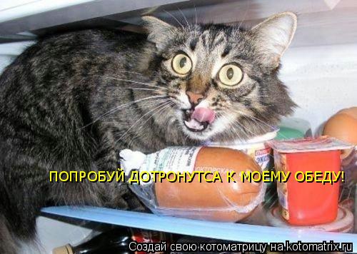 ПОПРОБУЙ ДОТРОНУТСА К МОЕМУ ОБЕДУ!... Котоматрица: ПОПРОБУЙ ДОТРОНУТСА К МОЕМУ ОБЕДУ!