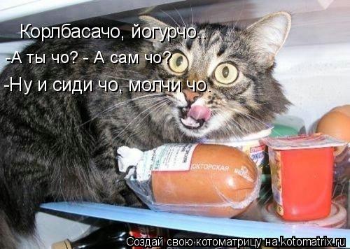 Корлбасачо, йогурчо.. -Ну и сиди чо, молчи чо. -А ты чо? - А сам чо?... Котоматрица: Корлбасачо, йогурчо.. -Ну и сиди чо, молчи чо. -А ты чо? - А сам чо?