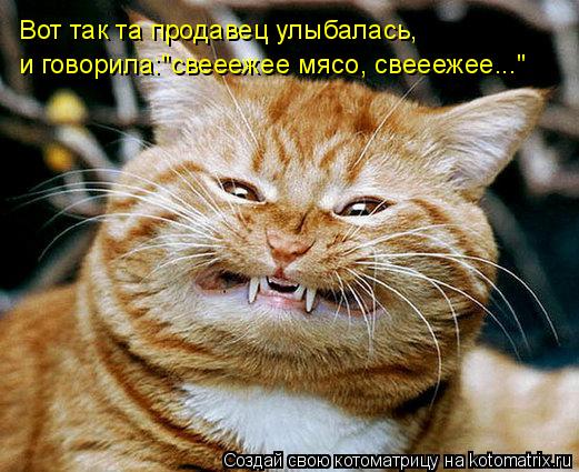 Котоматрица: Вот так та продавец улыбалась, и говорила:"свееежее мясо, свееежее..."