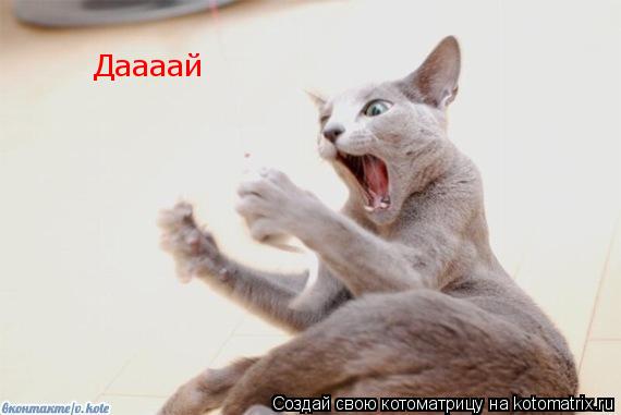 Котоматрица: Даааай