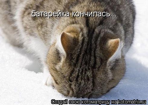 батарейка кончилась...... Котоматрица: батарейка кончилась...