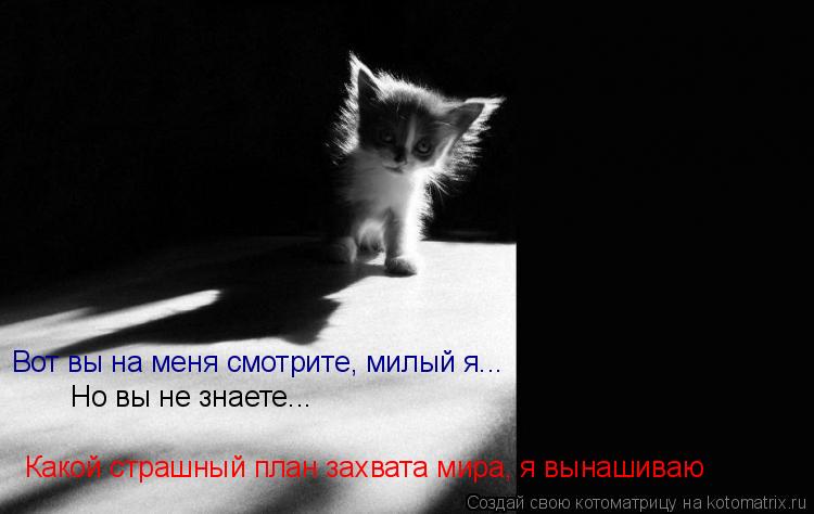 Вот вы на меня смотрите, милый я... Вот вы на меня смотрите, милый я... Но вы не знаете... Какой стра... Котоматрица: Вот вы на меня смотрите, милый я... Вот вы на меня смотрите, милый я... Но вы не знаете... Какой страшный план захвата мира, я вынашиваю