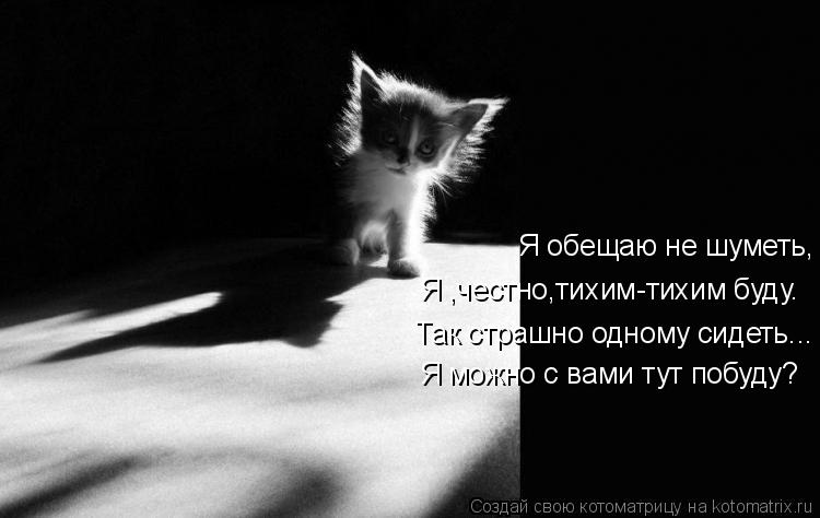 Я обещаю не шуметь, Я ,честно,тихим-тихим буду. Так страшно одному сидеть... Я можно с вами тут побуд... Котоматрица: Я обещаю не шуметь, Я ,честно,тихим-тихим буду. Так страшно одному сидеть... Я можно с вами тут побуду?