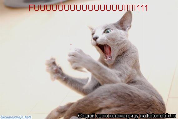 FUUUUUUUUUUUUUUU!!!!!111... Котоматрица: FUUUUUUUUUUUUUUU!!!!!111